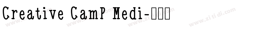Creative CamP Medi字体转换